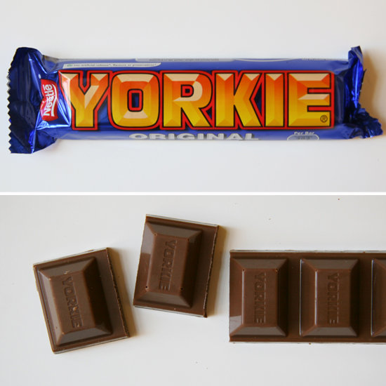 Yorkie Yorkie