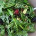 Dark Leafy Greens