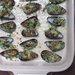 Moules à la Provençal