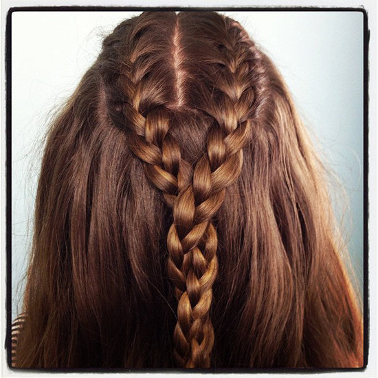Double French Braid and Twist Double French Braid and Twist