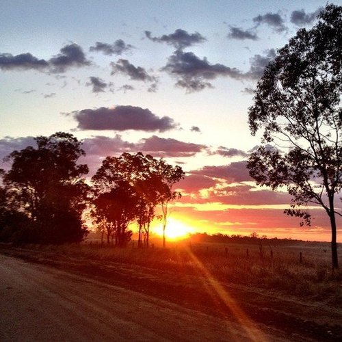 Watch the Sun Rise Watch the Sun Rise
