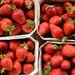 Farmers Market Produce
