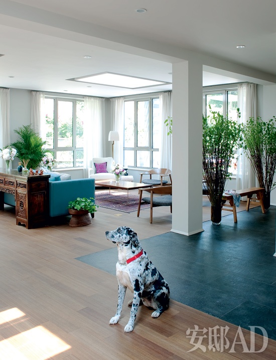 Modern classic in Beijing Hills