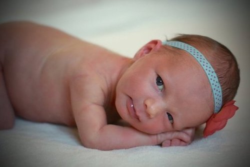 Welcome Hadley!