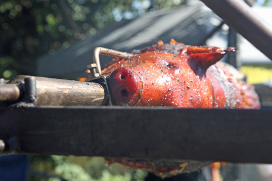 Whole Truffled Pig Whole Truffled Pig