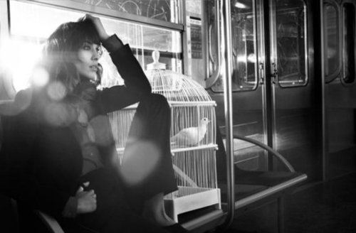 Alexa Chung is the new face of Maje Fall 2012.
Alexa Chung is the new face of Maje Fall 2012.