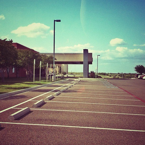 Hanging in the Parking Lot Before Class Hanging in the Parking Lot Before Class