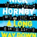 A Long Way Down by Nick Hornby 