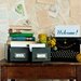 Book Page Backdrop