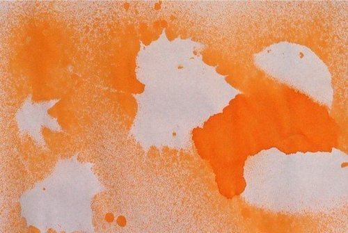 Negative Leaf Impressions Negative Leaf Impressions