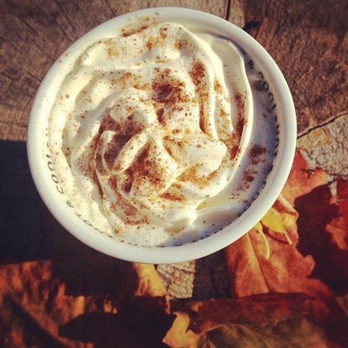 Have a Pumpkin Latte Date Have a Pumpkin Latte Date