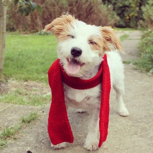 I appreciate a jaunty accessory.
Source: Instagram User ginny_jrt
I appreciate a jaunty accessory.
Source: Instagram User ginny_jrt
