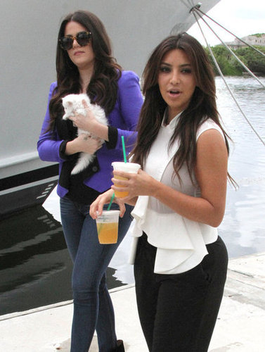 Kim Kardashian Cuddles Up to Her Cute New Companion Mercy Kim Kardashian Cuddles Up to Her Cute New Companion Mercy