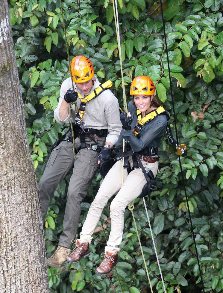 Prince William and Kate scaled a 130-foot tree near Malaysia's Danum Valley research center in 2012.
Prince William and Kate scaled a 130-foot tree near Malaysia's Danum Valley research center in 2012.