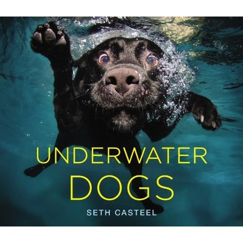 We can't wait for Seth Casteel's Underwater Dogs book ($20) debuting on Oct. 23. The pet portraitist's amazing photos of canine swimmers taken from under the water's surface went viral earlier this year, and now these images have leaped from screen to page in a glossy, 144-page volume.
We can't wait for Seth Casteel's Underwater Dogs book ($20) debuting on Oct. 23. The pet portraitist's amazing photos of canine swimmers taken from under the water's surface went viral earlier this year, and now these images have leaped from screen to page in a glossy, 144-page volume.