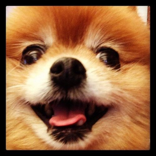 Joy! Joy!