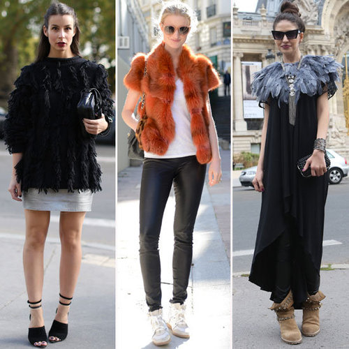 Fur and Feathered Friends Fur and Feathered Friends