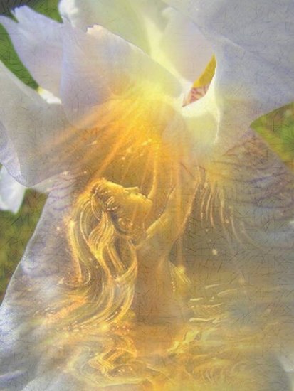 The Goddess of the Iris (II)