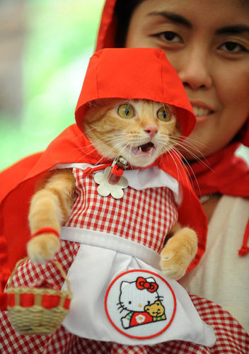 Little Red Riding Hood Little Red Riding Hood