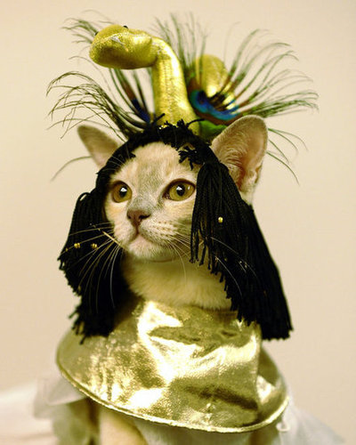 Cleocatra Cleocatra