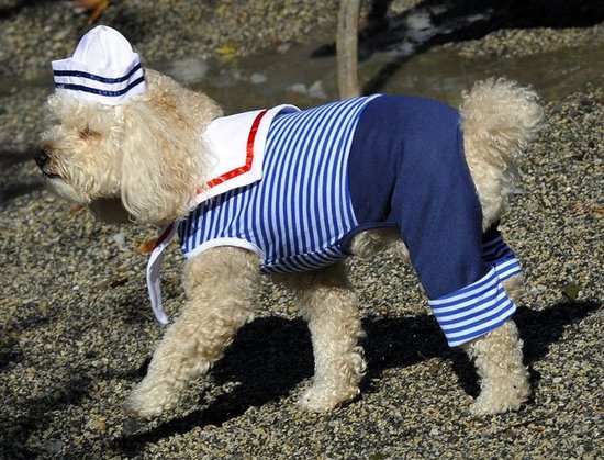 Ahoy, Matey! Ahoy, Matey!