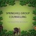 springhill group