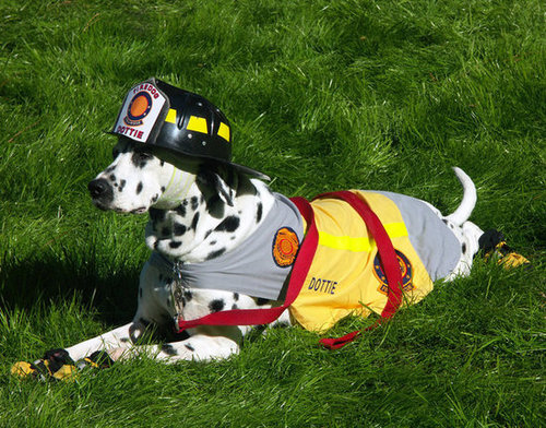Rescue Me Rescue Me