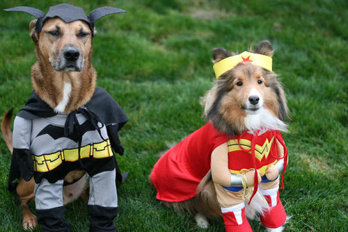 Superdog to the Rescue! Superdog to the Rescue!