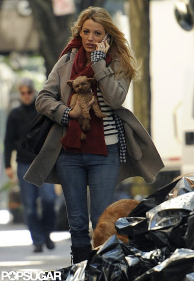 Blake Lively carried her dog Penny. Blake Lively carried her dog Penny.
