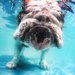 6. Get Wet!
