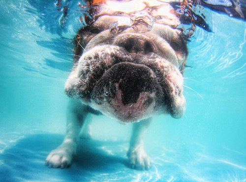 6. Get Wet! 6. Get Wet!