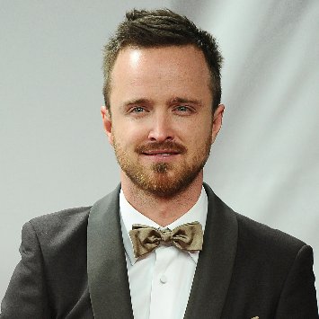Aaron Paul Gets Role in Need For Speed
