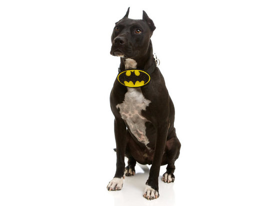 Batman Batman
