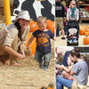 Celebrity Kids in Pumpkin Patches
