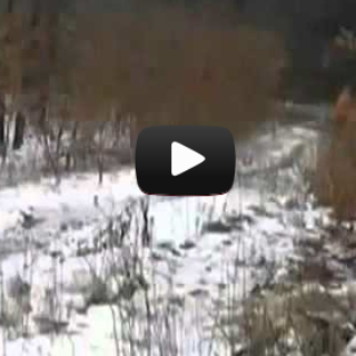 Scary YouTube Ghost Videos