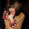 Anna Wintour Smiling (Pictures)