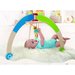 For Newborns: My First Gym
