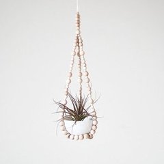 Cool Modern Gift Plants