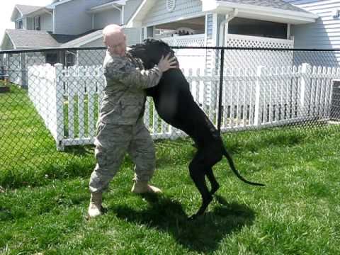 A Giant Welcome Home A Giant Welcome Home