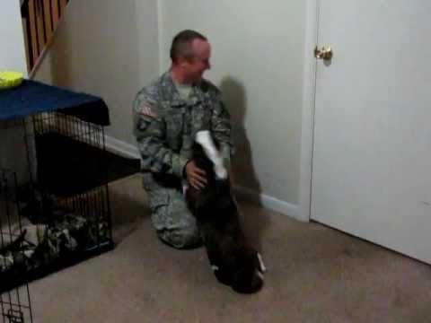 Cocoa Greets Pop Cocoa Greets Pop