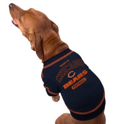 Go Bears!