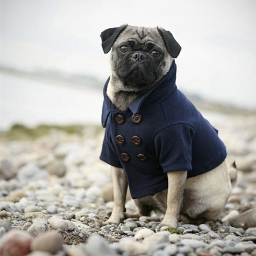 Rover Classics Navy Peacoat Rover Classics Navy Peacoat