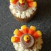 Turkey Cupcakes