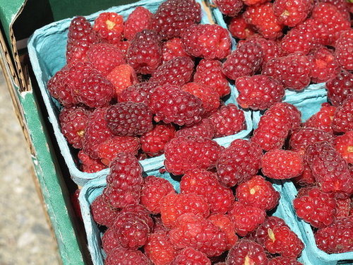 Tayberries Tayberries