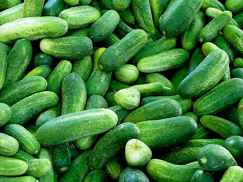 Cucumbers Cucumbers