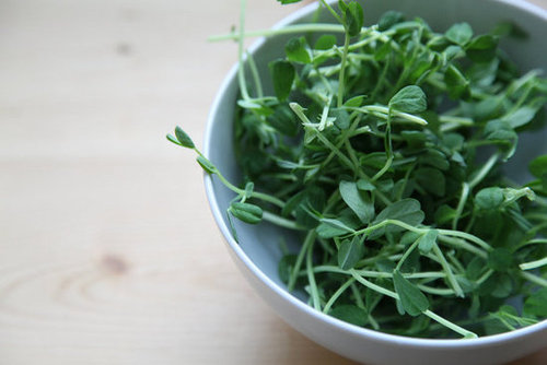 Pea Shoots Pea Shoots