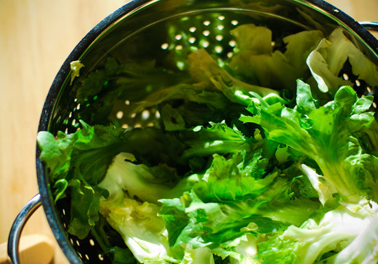 Escarole Escarole