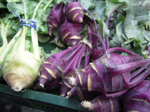 Kohlrabi Kohlrabi