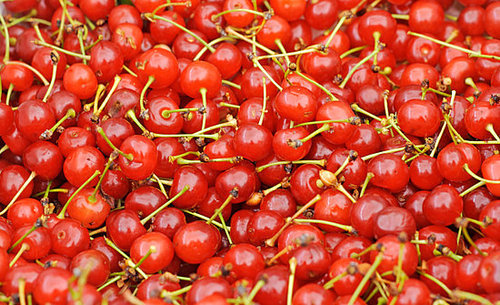 Sour Cherries Sour Cherries