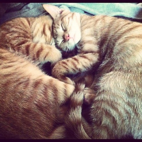 Brotherly Love Brotherly Love